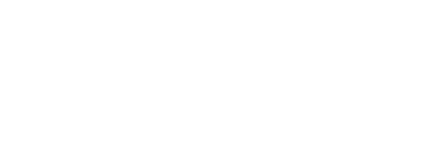 Troochpolitik.se